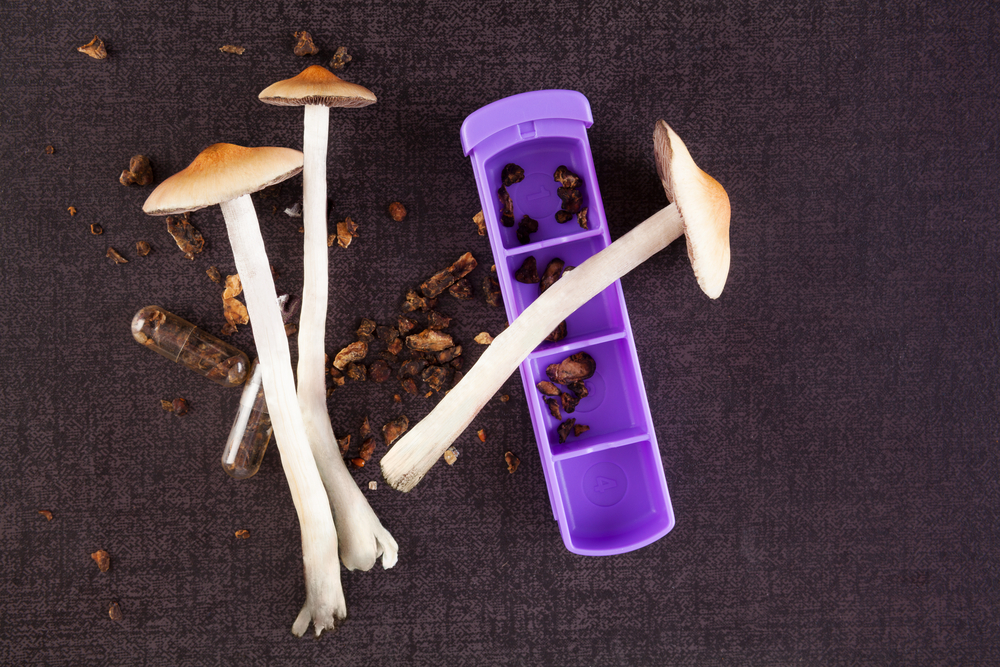 A complete guide to microdosing mushrooms in Canada